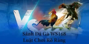 Cách Chơi Đá Gà WS168 Tại Fun88 Để Thắng Lớn Dễ Dàng