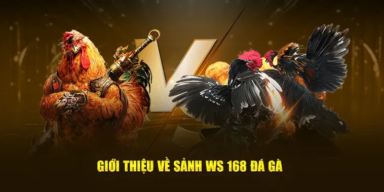 Cách Chơi Đá Gà WS168 Tại Fun88 Để Thắng Lớn Dễ Dàng