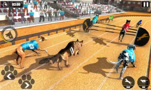Cách Chơi Game Nhanh Đua Chó Tại Fun88 Để Tối Ưu Hóa Chiến Thắng Nhanh Chóng